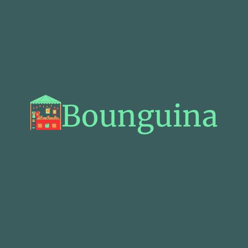 Logo Bounguina